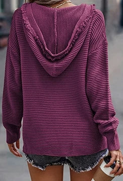 Camille Hooded Knit Sweater